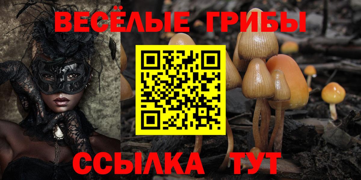 как найти   Вход с VPN  Саров  Галлюциногенные грибы мицелий 