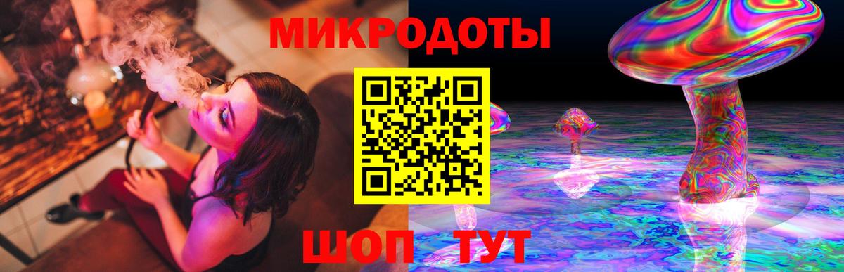 Псилоцибиновые грибы Psilocybine cubensis Саров