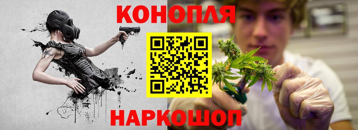 Каннабис конопля Саров